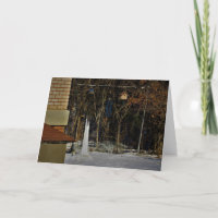 Cartão de Natal "Habitações em Limbo"