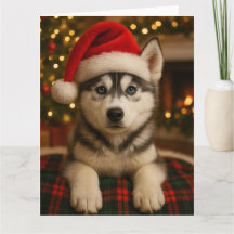 Cartão de Natal Husky