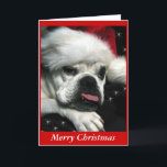 Cartão de Natal Inglês Bulldog.<br><div class="desc">Lindo foto digital de um velho e miniatura buldogue inglês. Você pode mudar a cor do fundo. Adicione sua própria mensagem pessoal. Estão disponíveis outros produtos de Natal para buldogue.</div>
