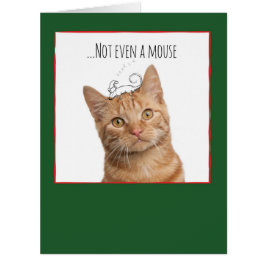 Cartão de Natal Jumbo Cats & Doodles