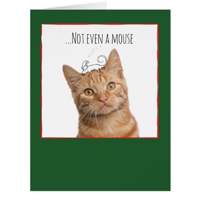 Cartão de Natal Jumbo Cats & Doodles (Frente)