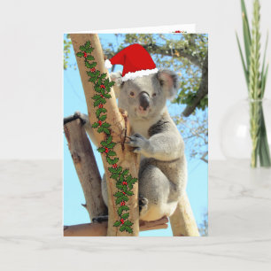 Cartão de Natal Koala
