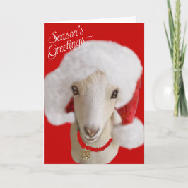 Cartão de Natal LaMancha Goat