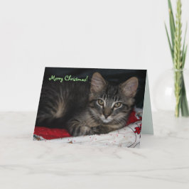 Cartão de Natal Merry Caspian