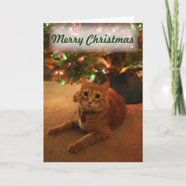 Cartão de Natal Orange Tabby