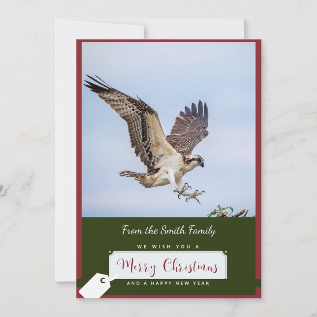 Cartão de Natal Osprey (Frente)