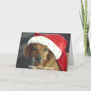 Cartão de Natal - Papais noeis Dachshund