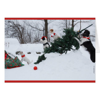 Cartão de Natal para Cães