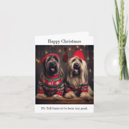 Cartão de Natal para Cães Briard
