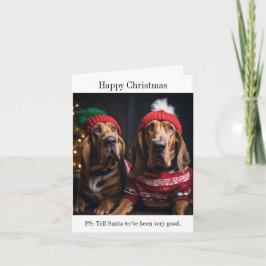 Cartão de Natal para Cães Sanguíneos