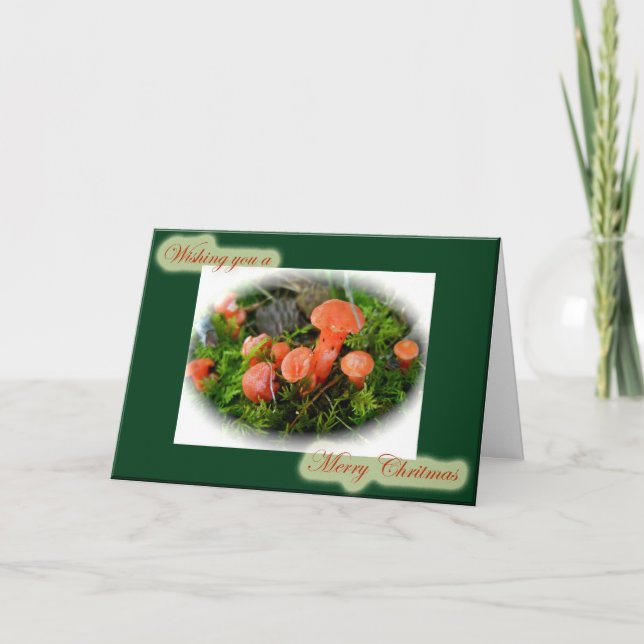 Cartão de Natal para Cogumelos Brilhantes (Frente)