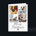 Cartão de Natal para Colagem de Fotos de Natal Fel<br><div class="desc">Cartões de Natal de Colagem de Fotos de Natal Meia de Ricaso - um cartão de Natal divertido e encantador para gatos de estimação com quatro modelos de fotografia e um maravilhoso e delicado detalhe de tipografia para a frente - dentro é fácil personalizar o texto com a sua própria...</div>