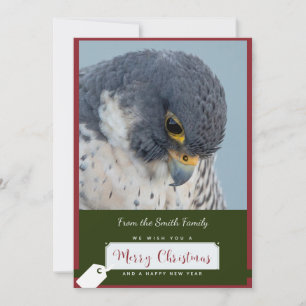 Cartão de Natal Peregrine Falcon