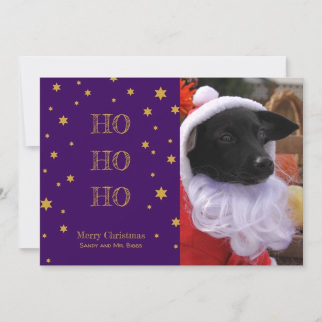 Cartão de Natal Pet Photo Personalizado A Sua Foto (Frente)