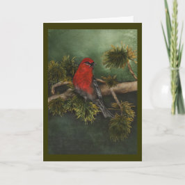 Cartão de Natal Pine Grosbeak