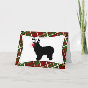 Cartão de Natal Polonês Lowland Sheepdog Reindeer