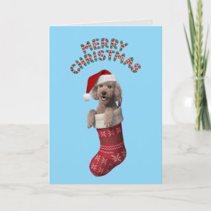 Cartão de Natal Poodle