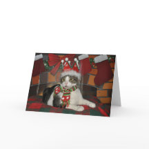 Cartão de Natal preto e branco do gato do gato