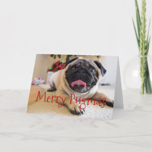 Cartão de Natal Pugmas da feliz