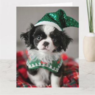 Cartão de Natal Puppy para Elf Chin