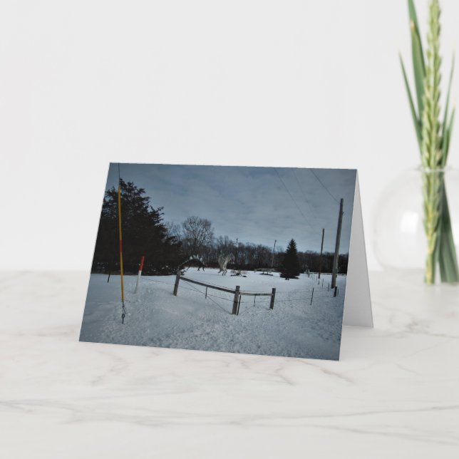 Cartão de Natal "Rampage in the Park" (Frente)