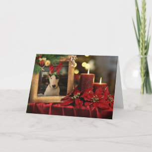 Cartão de Natal Rex, velas e poinsettia