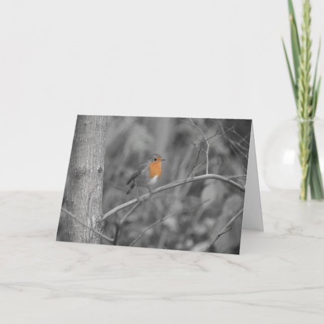Cartão de Natal Robin Redbreast (Frente)