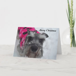 Cartão de Natal Schnauzer