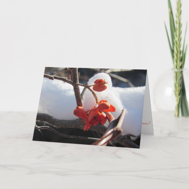 Cartão de Natal "Serenidade da Hibernação" (Frente)