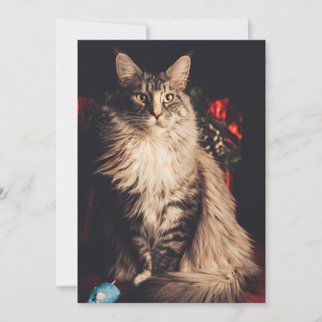 Cartão de Natal Smilla V2 (Frente)