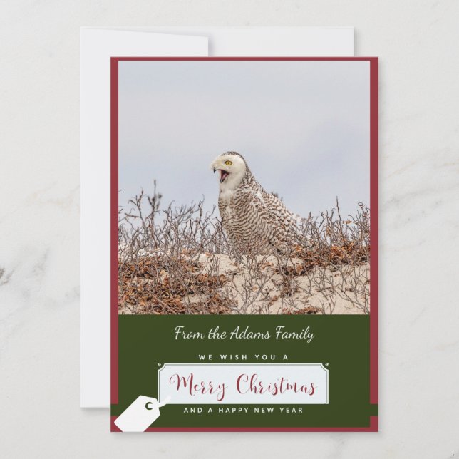 Cartão de Natal Snowy Owl (Frente)