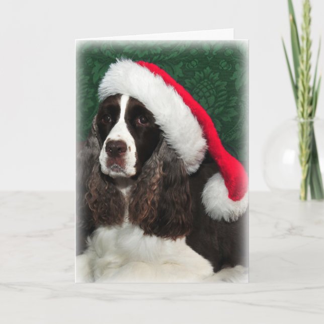 Cartão de Natal Springer Spaniel (Frente)