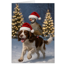 Cartão de Natal Springer Spaniel e Perdiz
