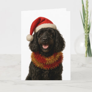 Cartão de Natal super fofo de Cockerpoo preto