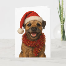 Cartão de Natal super fofo do Border Terrier