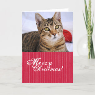 Cartão de Natal Tabby Cat