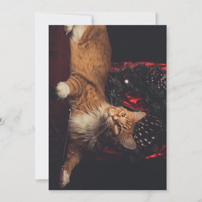 Cartão de Natal Tarzan V1 (Frente)