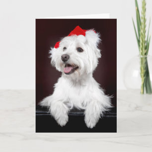 Cartão de Natal Terrier White West Highland