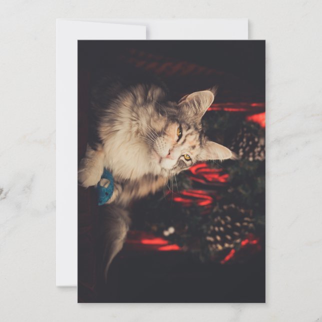 Cartão de Natal Titiyo V3 (Frente)