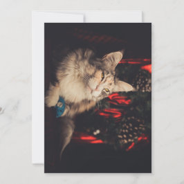 Cartão de Natal Titiyo V3