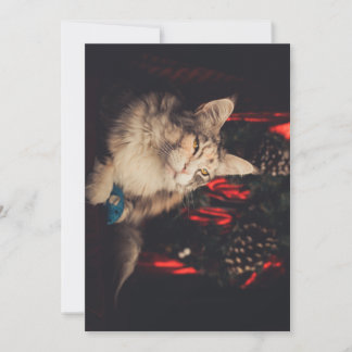 Cartão de Natal Titiyo V3