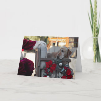 Cartão de Natal: Véspera de Natal no Vale da Morte