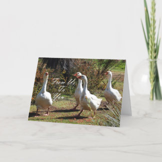 Cartão De Nós Para Você - Saindo