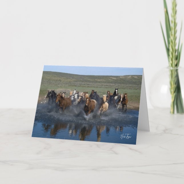 Cartão de nota! (Frente)