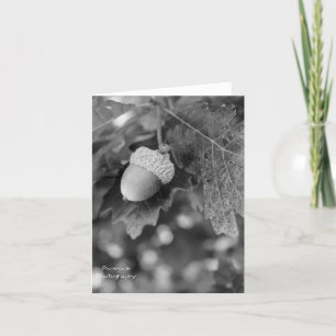 Cartão de Nota Acorn