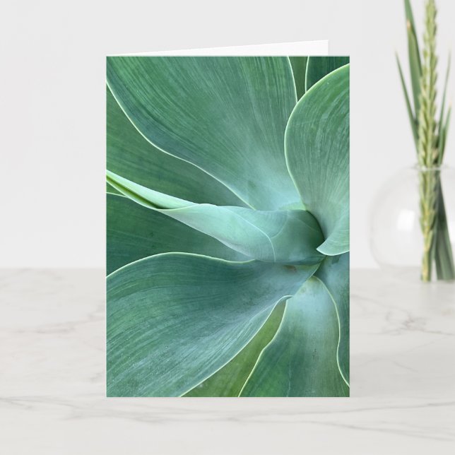 Cartão de Nota Agave em Branco (Frente)