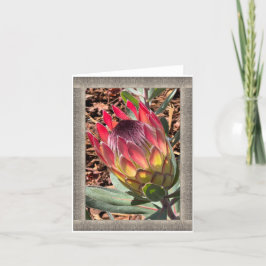 Cartão de Nota All-Occasion com Protea Bonita