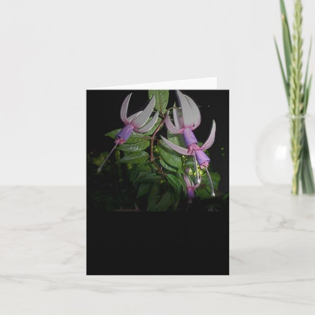 Cartão de Nota Azul Fushia (Frente)