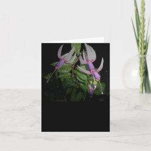 Cartão de Nota Azul Fushia