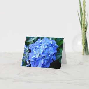 Cartão de Nota Azul Hydrangea